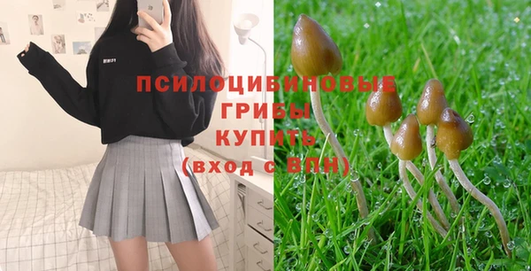 ГАЛЛЮЦИНОГЕННЫЕ ГРИБЫ Кулебаки