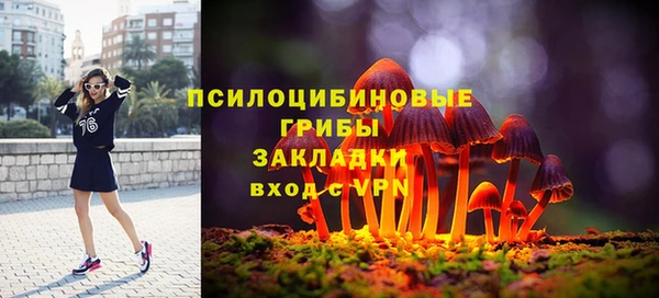 ГАЛЛЮЦИНОГЕННЫЕ ГРИБЫ Кулебаки