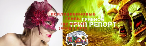 ГАЛЛЮЦИНОГЕННЫЕ ГРИБЫ Кулебаки