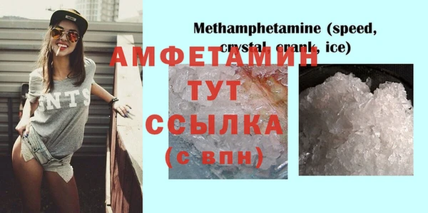 ГАЛЛЮЦИНОГЕННЫЕ ГРИБЫ Кулебаки